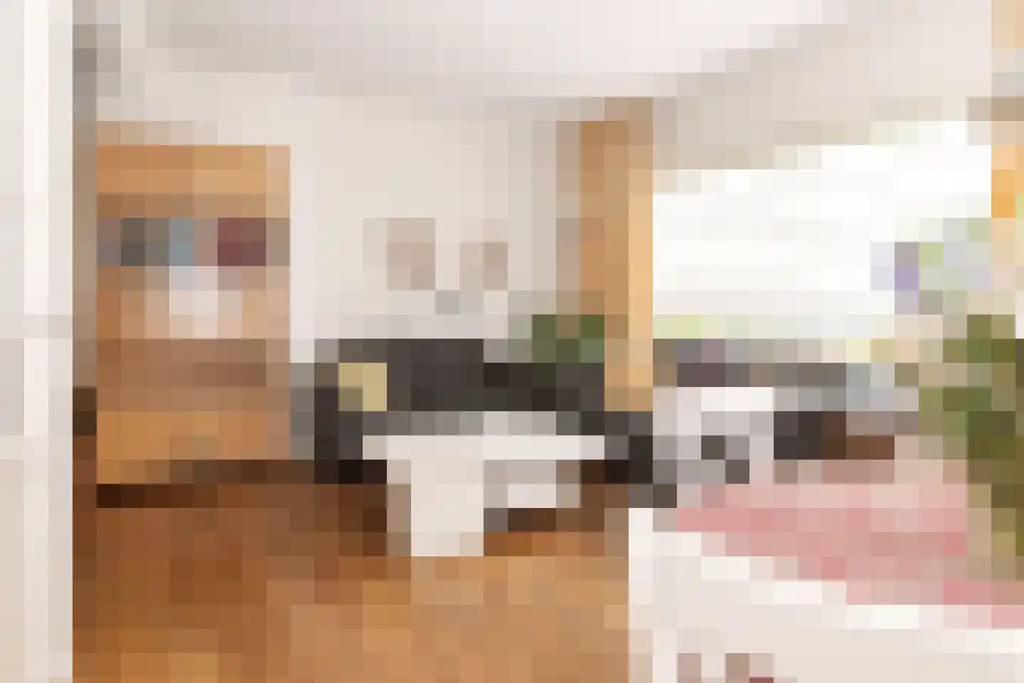 Pastoor Nicolaus de Reimsstraat 40 Meerssen thumbnail 7