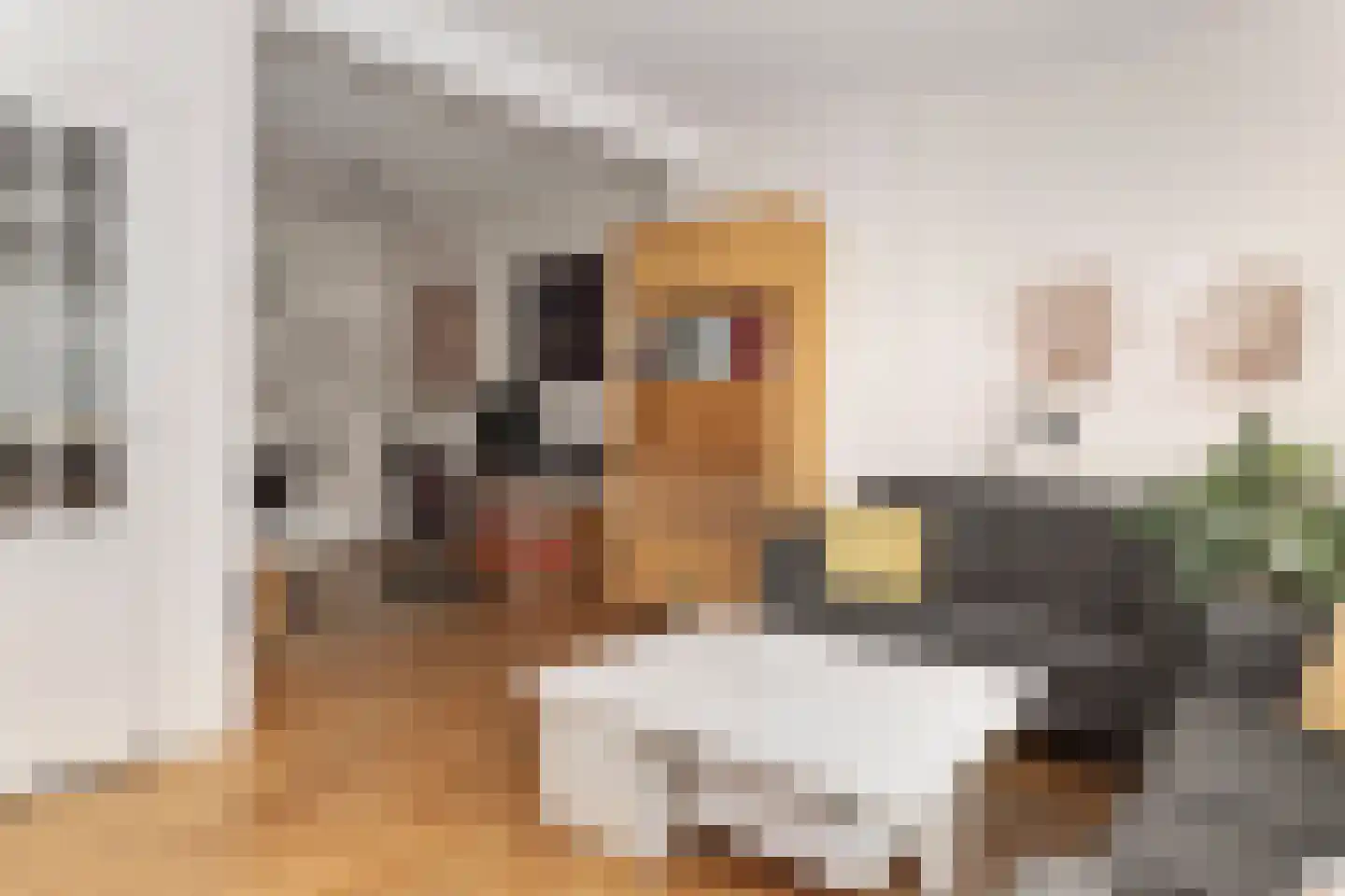 Pastoor Nicolaus de Reimsstraat 40 Meerssen thumbnail 8