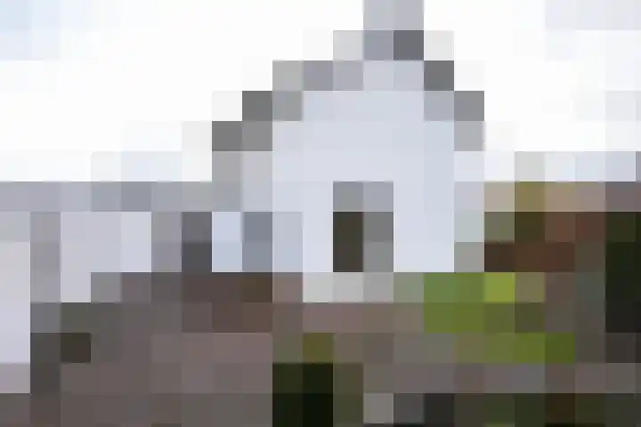 Pastoor Oberieweg 22 Epen thumbnail 20