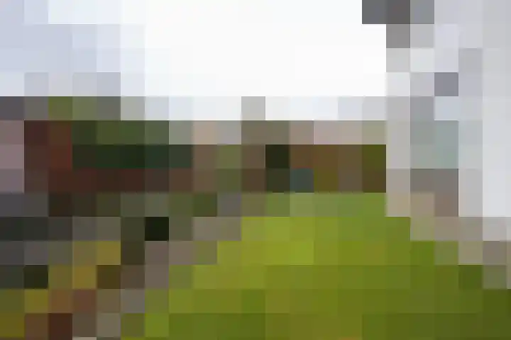 Pastoor Oberieweg 22 Epen thumbnail 28