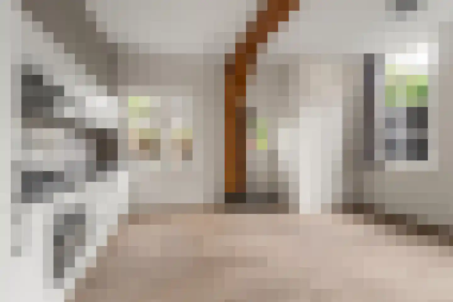 Pastoor Ohllaan 33 Vleuten thumbnail 12
