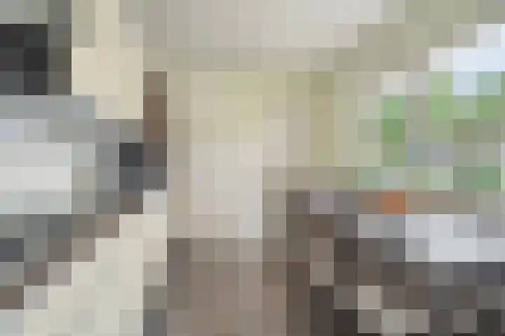 Pastoor Oomenlaan 22 Prinsenbeek thumbnail 12