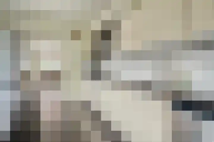 Pastoor Oomenlaan 22 Prinsenbeek thumbnail 13