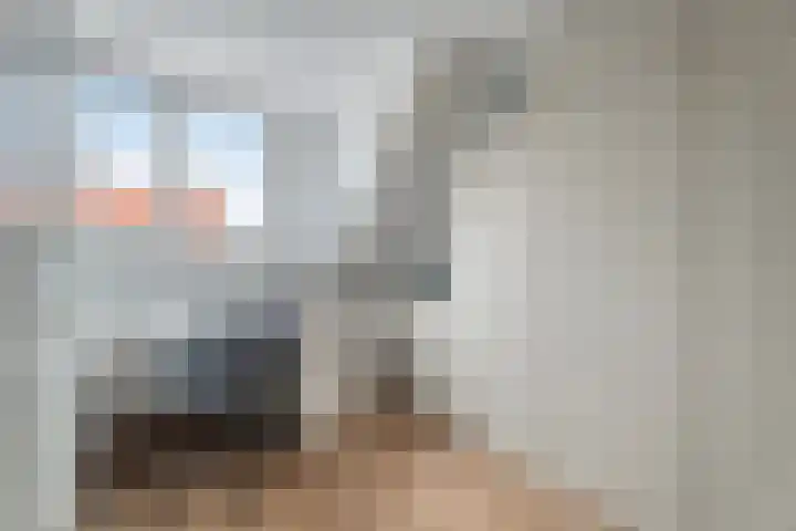 Pastoor Oomenlaan 22 Prinsenbeek thumbnail 20