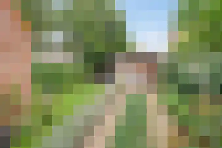 Pastoor Oomenlaan 22 Prinsenbeek thumbnail 29