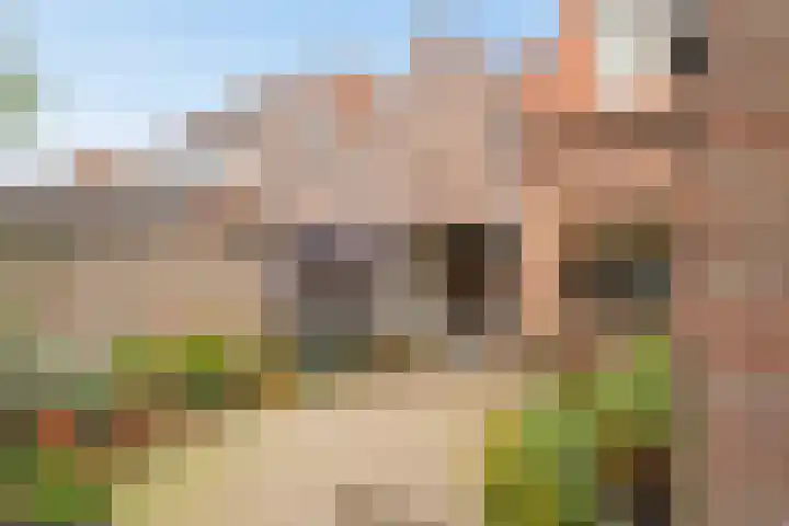 Pastoor Oomenlaan 22 Prinsenbeek thumbnail 30