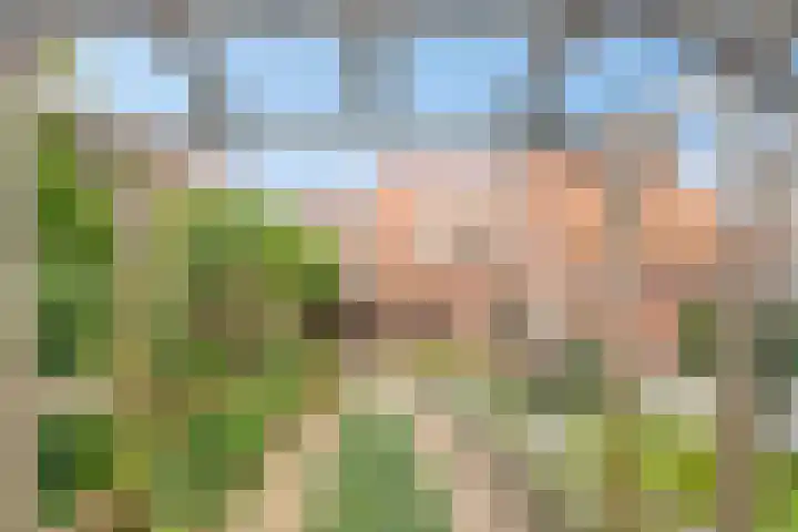 Pastoor Oomenlaan 22 Prinsenbeek thumbnail 32