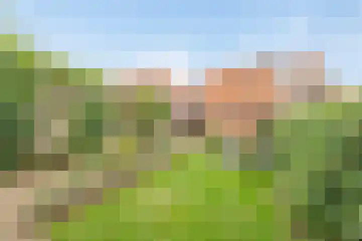 Pastoor Oomenlaan 22 Prinsenbeek thumbnail 33