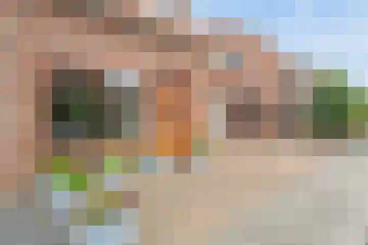 Pastoor Oomenlaan 22 Prinsenbeek thumbnail 35