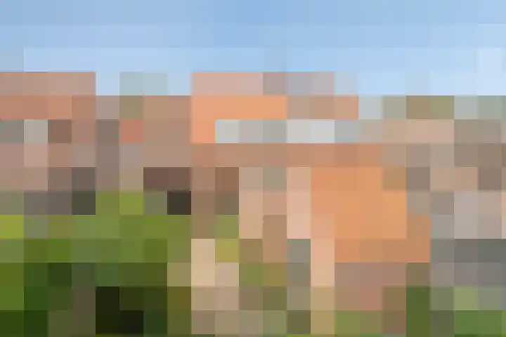 Pastoor Oomenlaan 22 Prinsenbeek thumbnail 4