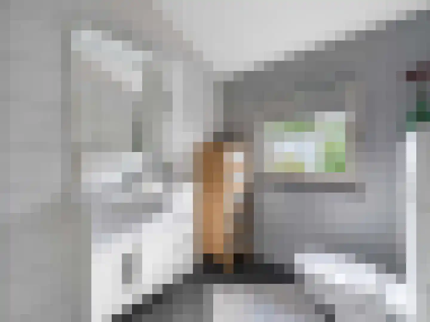 Pastoor Oomenlaan 32 Prinsenbeek thumbnail 14
