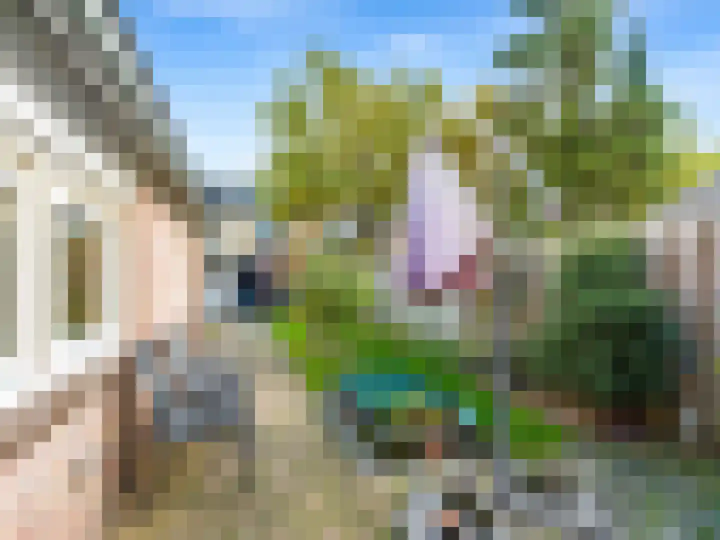 Pastoor Oomenlaan 32 Prinsenbeek thumbnail 23