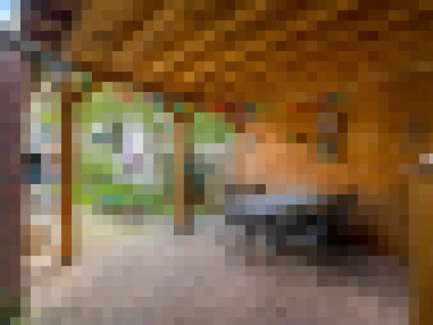 Pastoor Oomenlaan 32 Prinsenbeek thumbnail 26