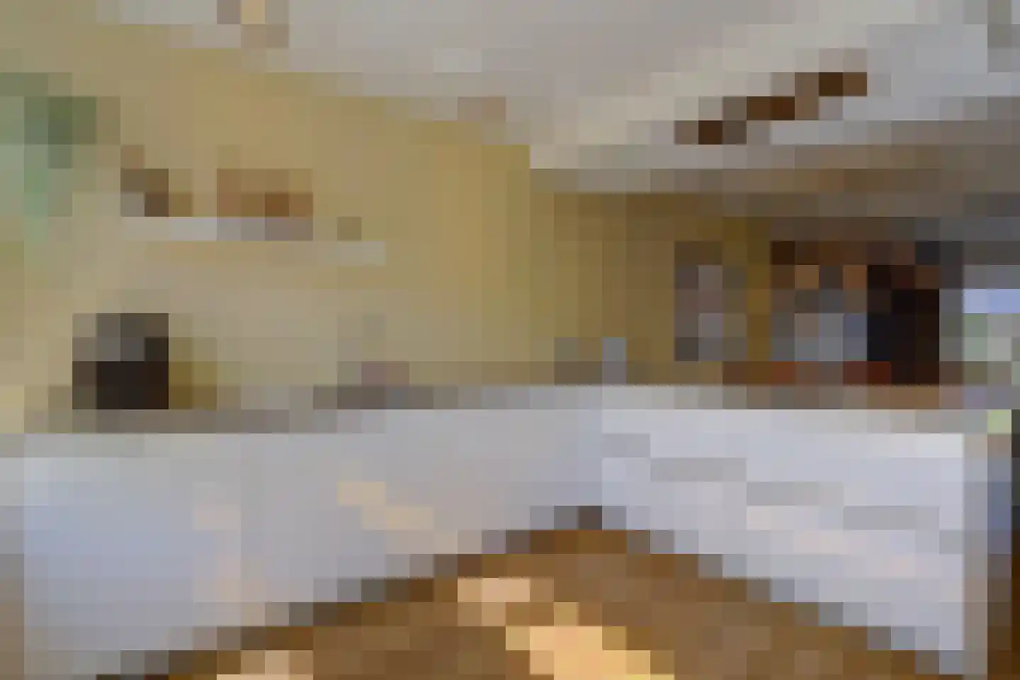Pastoor Op Heijstraat 14 Venlo thumbnail 10