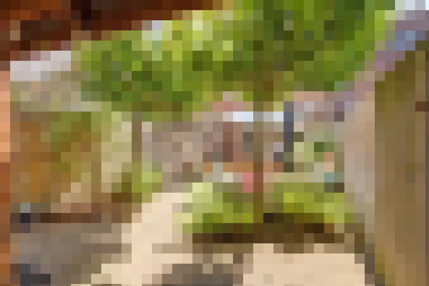 Pastoor Op Heijstraat 14 Venlo thumbnail 25