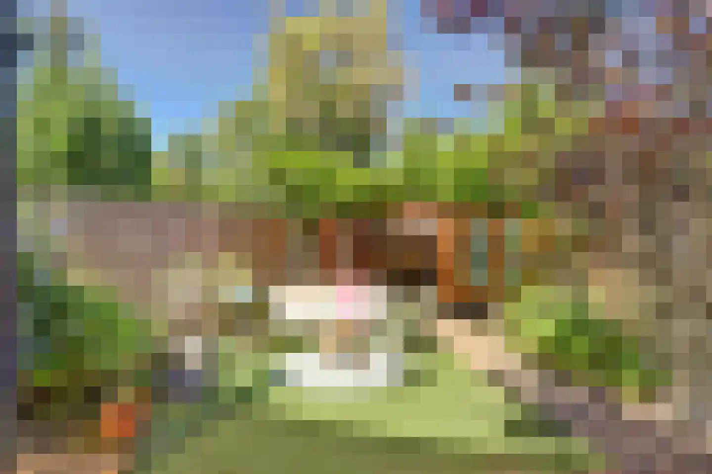 Pastoor Op Heijstraat 14 Venlo thumbnail 26