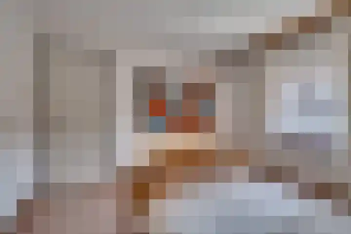 Pastoor Op Heijstraat 9 Venlo thumbnail 12