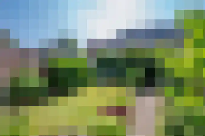 Pastoor Op Heijstraat 9 Venlo thumbnail 20
