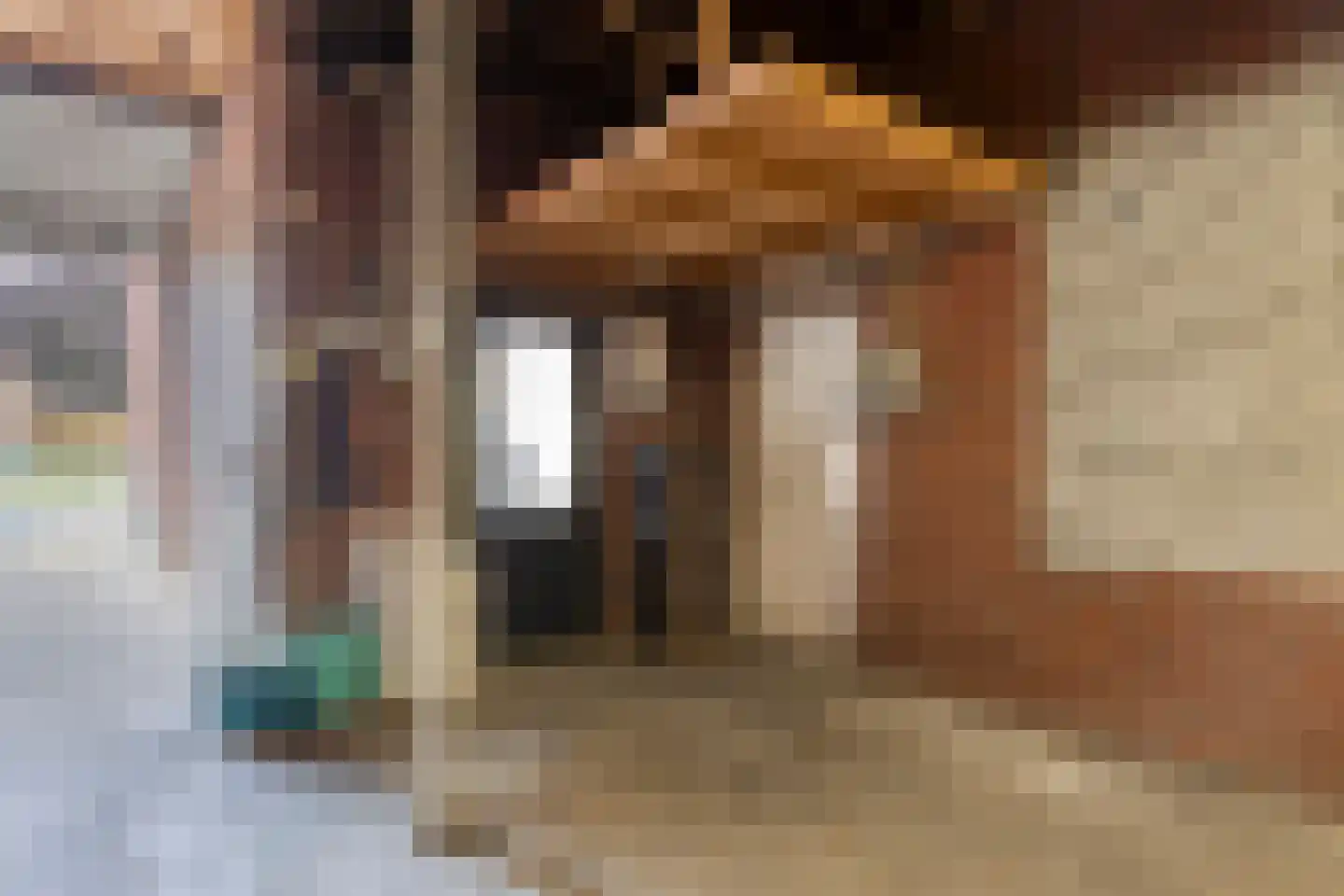 Pastoor Palsstraat 27 St. Willebrord thumbnail 45