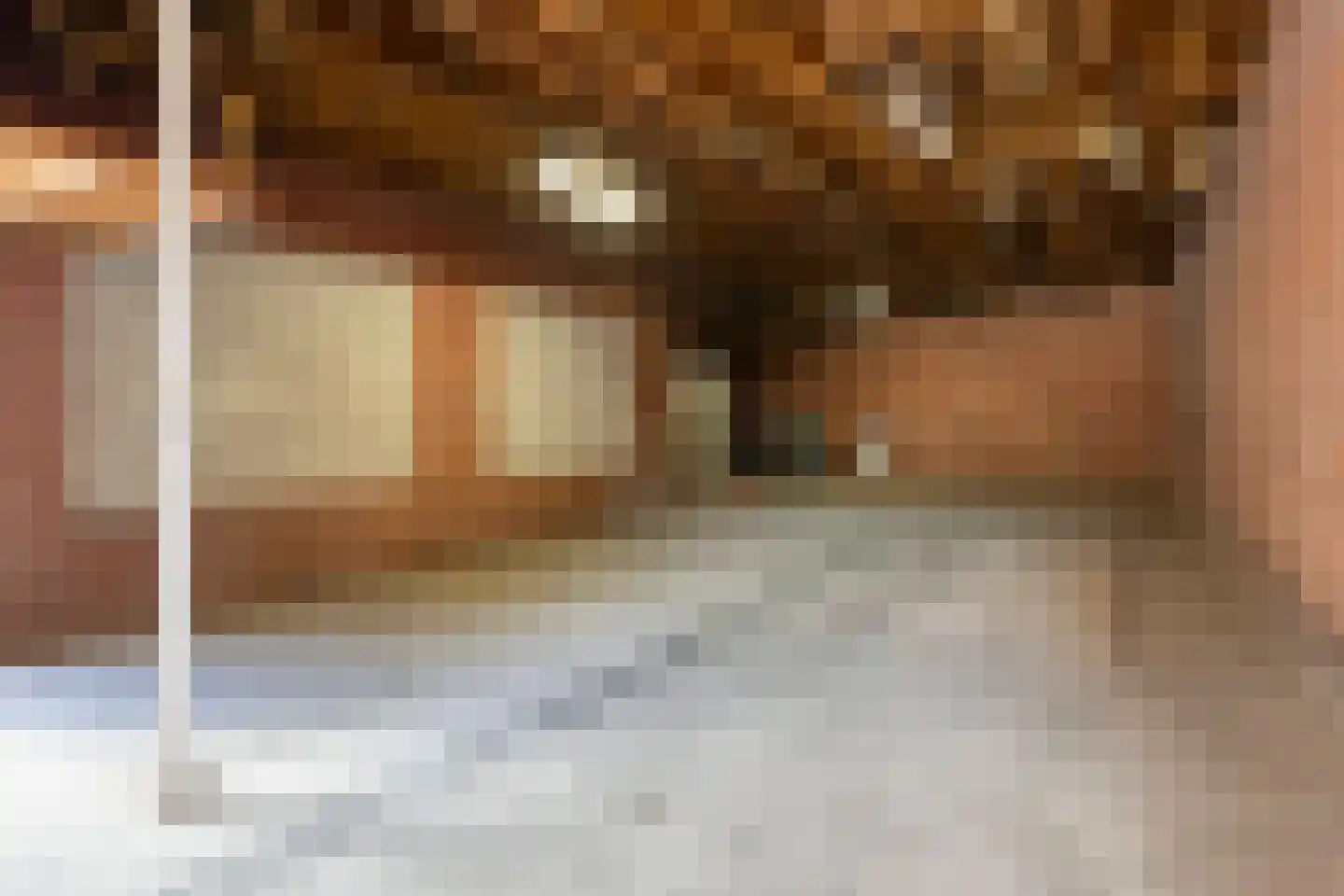 Pastoor Palsstraat 27 St. Willebrord thumbnail 47