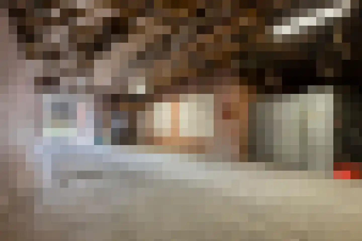 Pastoor Palsstraat 27 St. Willebrord thumbnail 49