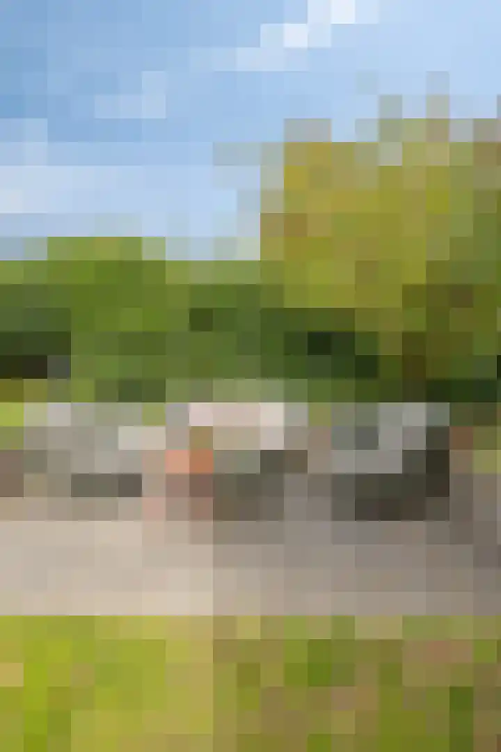 Pastoor Pendersstraat 12 Banholt thumbnail 20