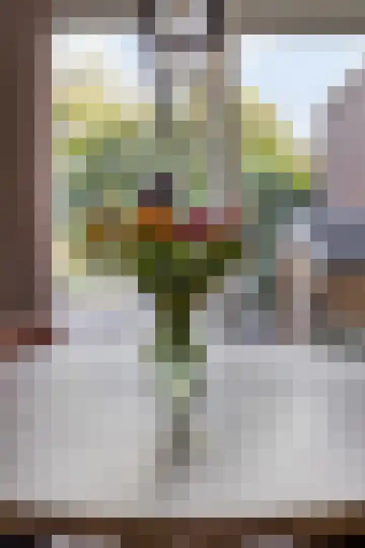 Pastoor Pendersstraat 12 Banholt thumbnail 6