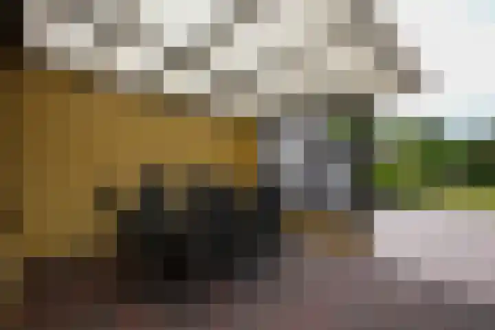 Pastoor Pendersstraat 13 Berg en Terblijt thumbnail 17