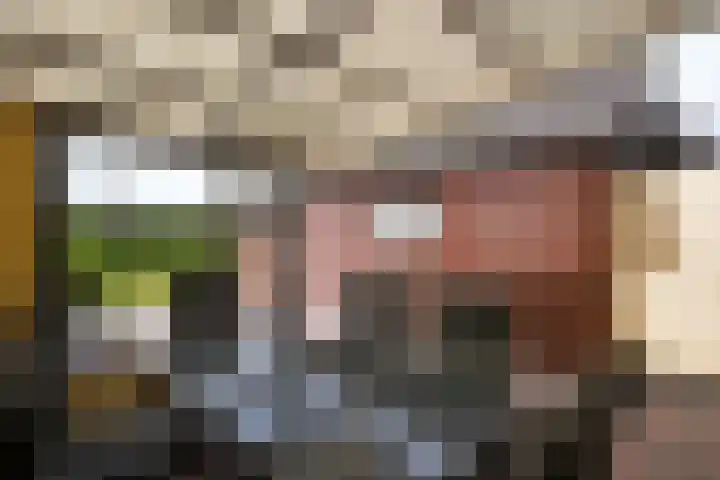 Pastoor Pendersstraat 13 Berg en Terblijt thumbnail 18