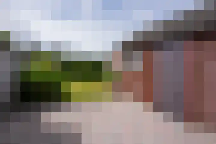Pastoor Pendersstraat 13 Berg en Terblijt thumbnail 19