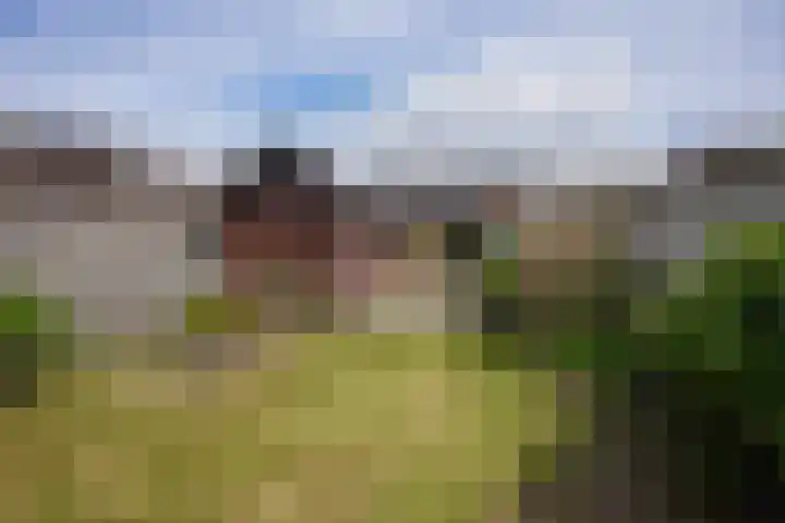 Pastoor Pendersstraat 13 Berg en Terblijt thumbnail 22