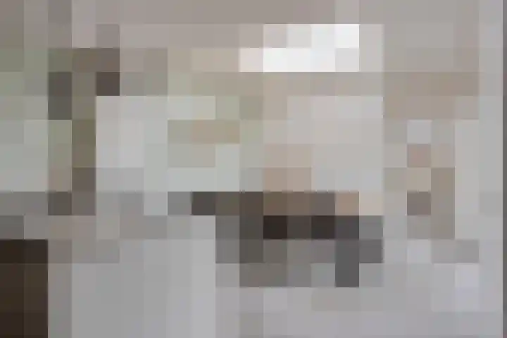 Pastoor Pendersstraat 7 Banholt thumbnail 21