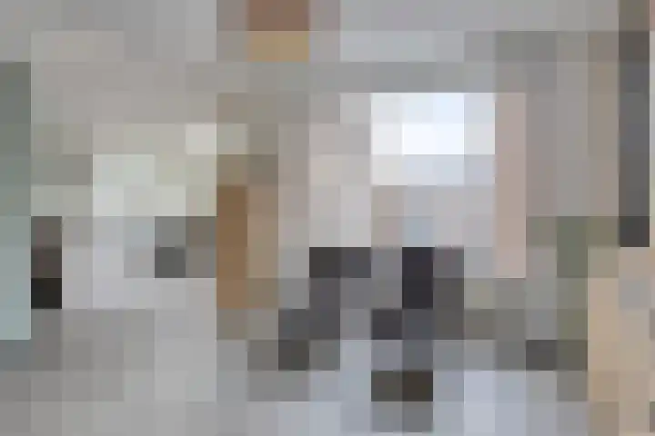 Pastoor Pendersstraat 7 Banholt thumbnail 4