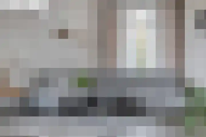 Pastoor Pendersstraat 7 Banholt thumbnail 6