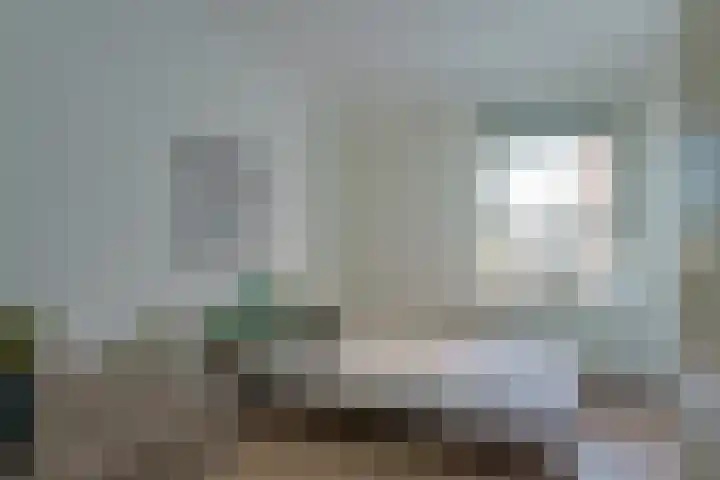 Pastoor Petersstraat 149 Eindhoven thumbnail 25
