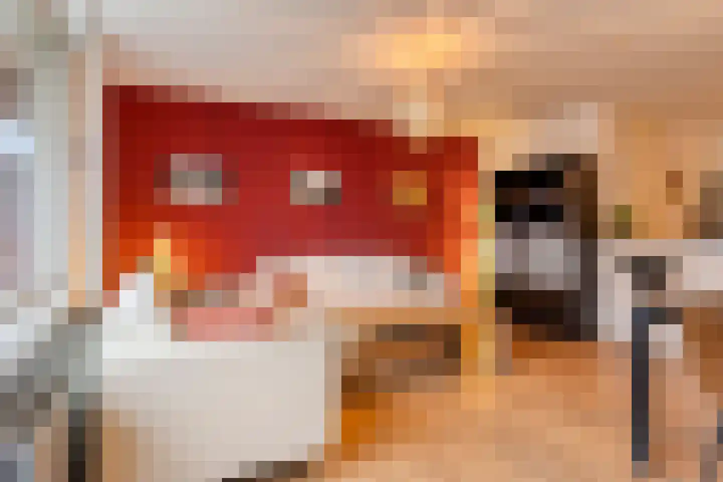 Pastoor Petersstraat 159 Eindhoven thumbnail 12