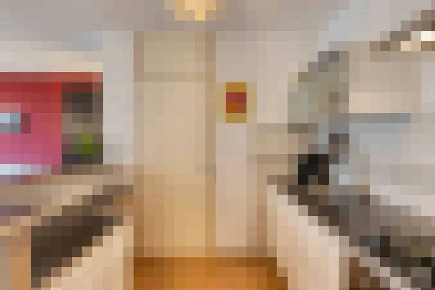 Pastoor Petersstraat 159 Eindhoven thumbnail 15