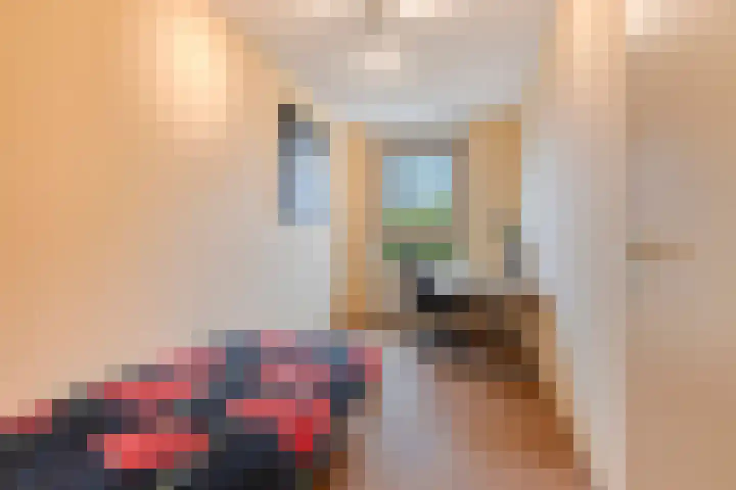 Pastoor Petersstraat 159 Eindhoven thumbnail 23