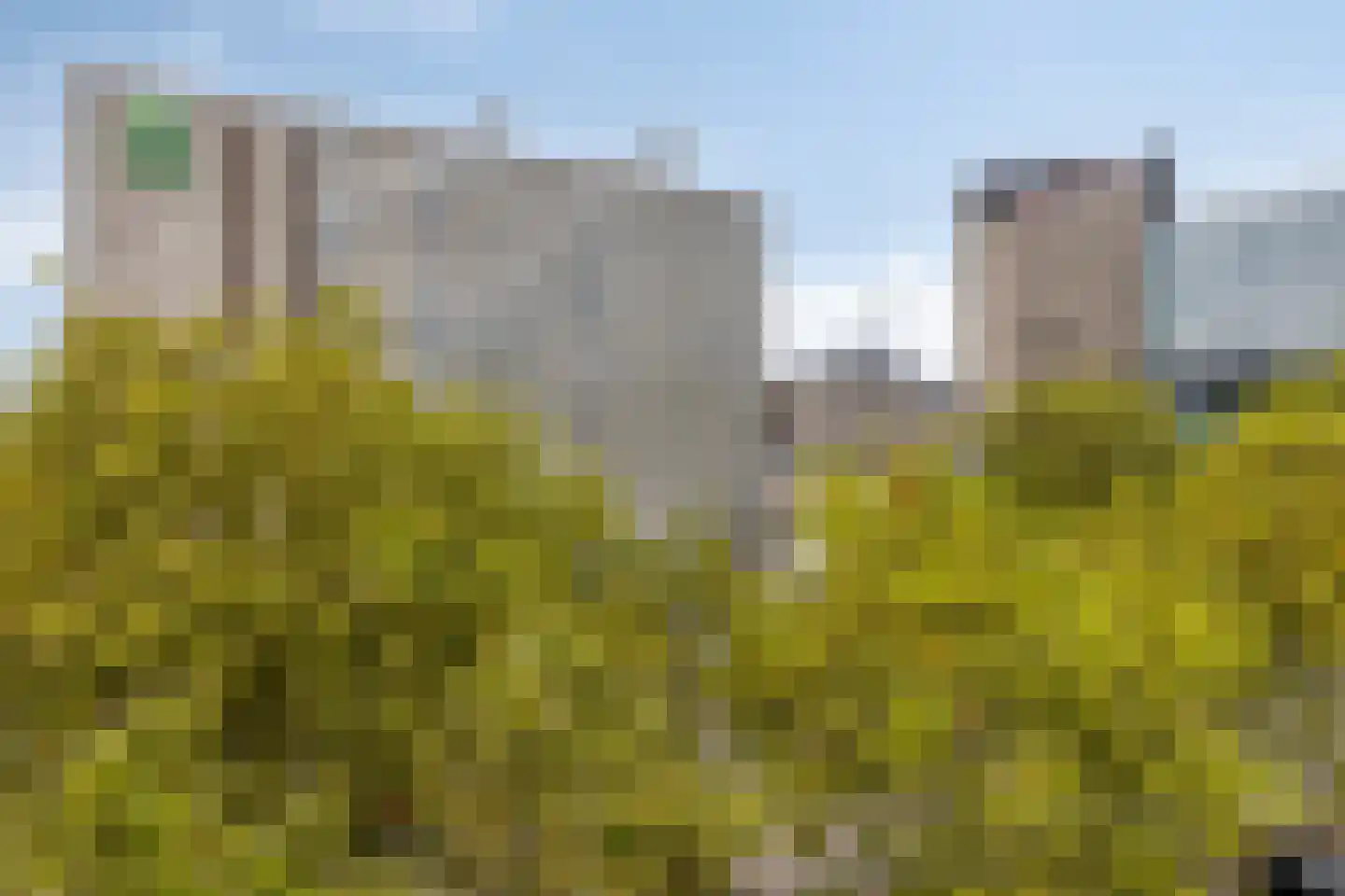 Pastoor Petersstraat 159 Eindhoven thumbnail 27
