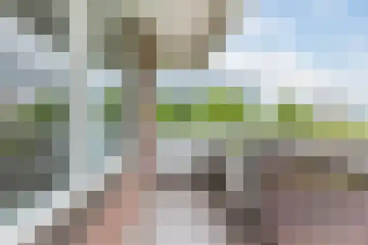 Pastoor Petersstraat 191 Eindhoven thumbnail 11