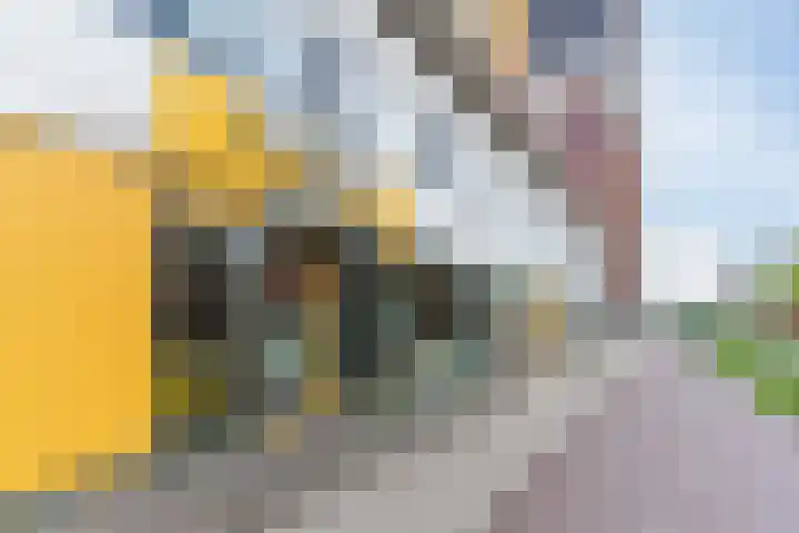 Pastoor Petersstraat 191 Eindhoven thumbnail 41