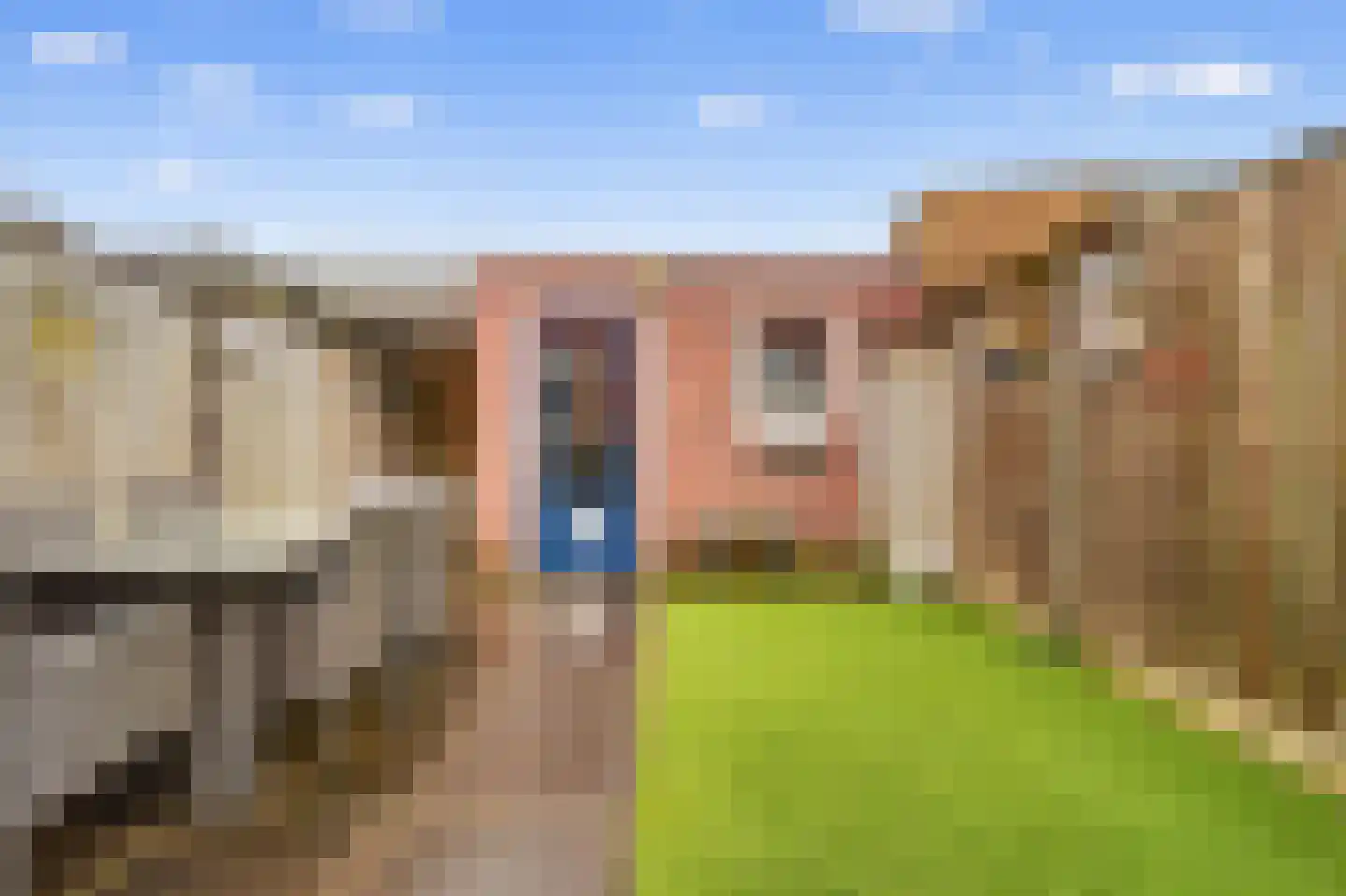 Pastoor Petersstraat 50 Rijssen thumbnail 38