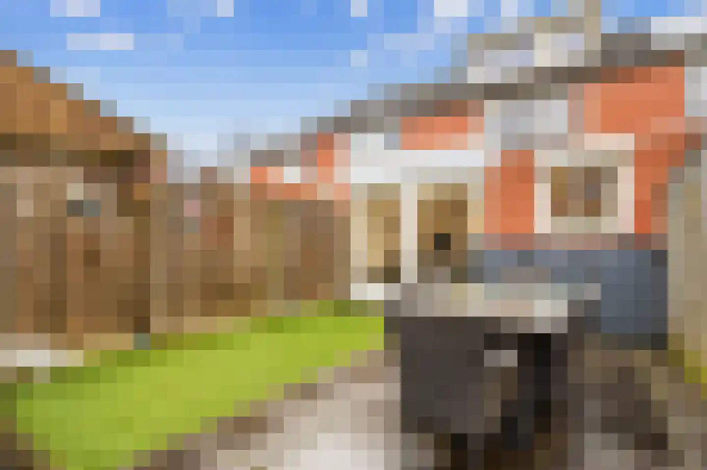 Pastoor Petersstraat 50 Rijssen thumbnail 39