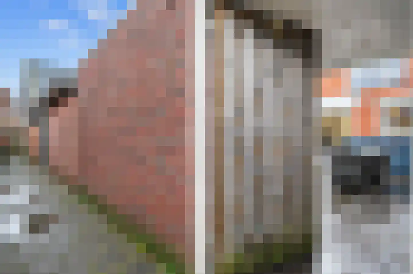 Pastoor Petersstraat 50 Rijssen thumbnail 41
