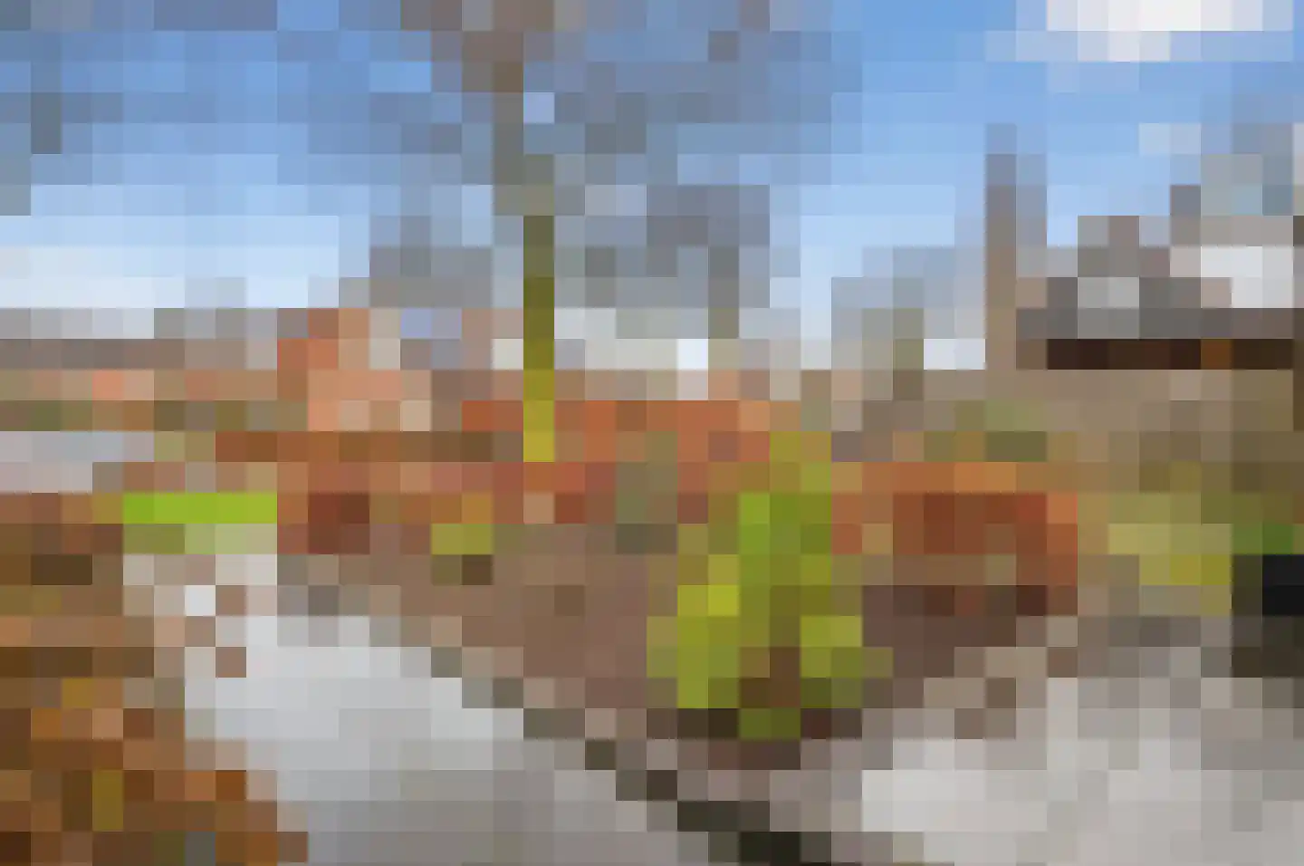Pastoor Petersstraat 50 Rijssen thumbnail 8