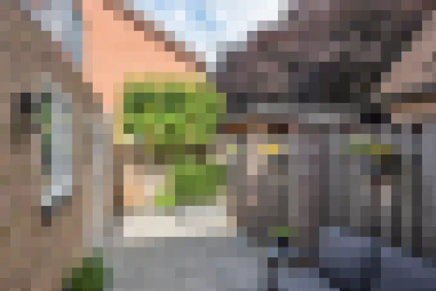 Pastoor Petersstraat 56 Rijssen thumbnail 27