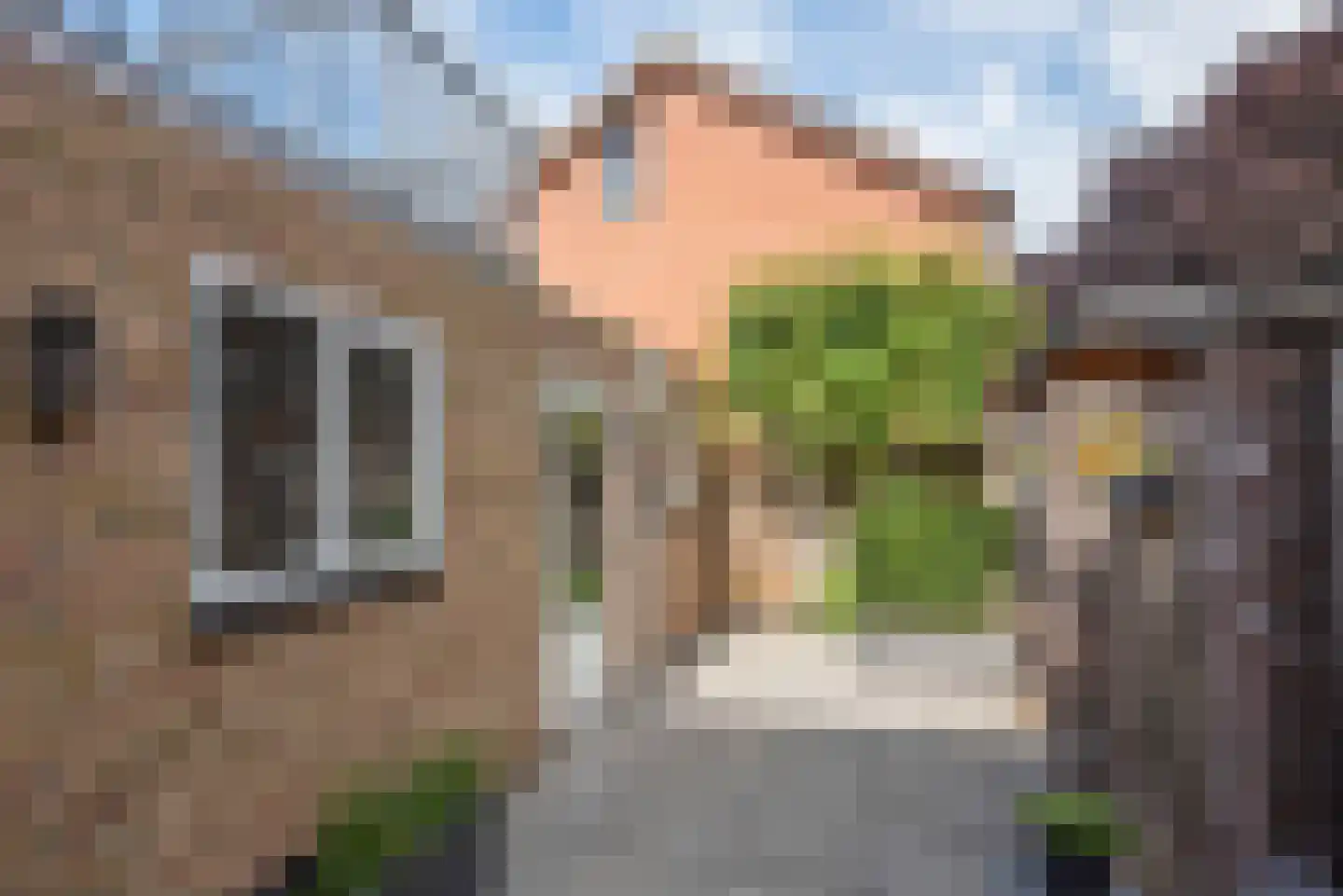 Pastoor Petersstraat 56 Rijssen thumbnail 28