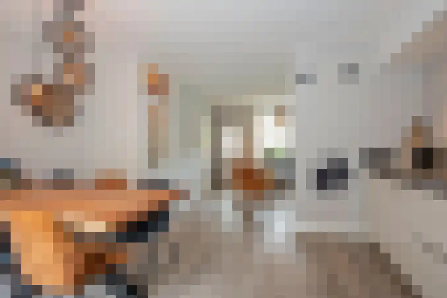 Pastoor Petersstraat 56 Rijssen thumbnail 7