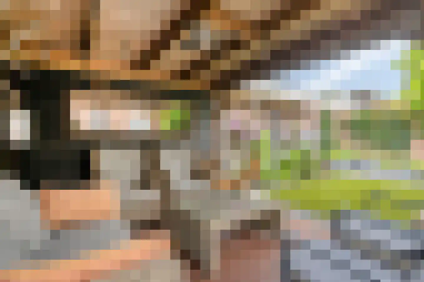 Pastoor Petersstraat 69 Rijssen thumbnail 36