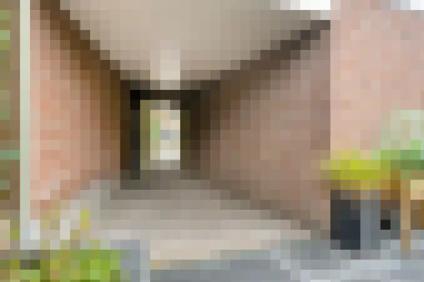 Pastoor Petersstraat 69 Rijssen thumbnail 39